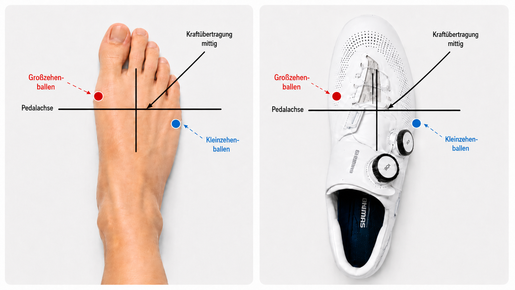 Bicycle cleat on a cycling shoe as an example of cleat adjustment